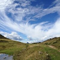 Alp