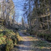 Scheffau_Wanderweg_Treffauerbach_Winter_Frühling