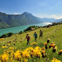 Auf dem Wanderweg am Kerenzerberg nach Filzbach