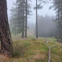 nach dem Rastplatz etwas östlich des Weges #500