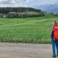Blick zum Reiting