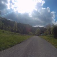 Straße zur Kreuzung beim Wildpark