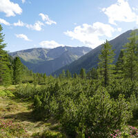 Blick zum Hemmerfeldeck