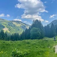 Schöner Wiesentrail durchs Leckner Tal