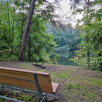 Bank am Sebbelsee