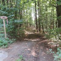 Wanderweg durch den Wald