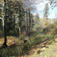 In den Tälern von Dreba und Plothenbach