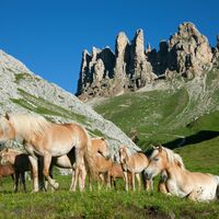 Val Duron - Denti di Terrarossa ©Archivio APT Val di Fassa
