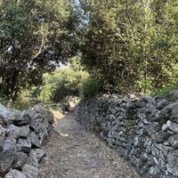 Weg 9 : Giru di u Capu Curbinu