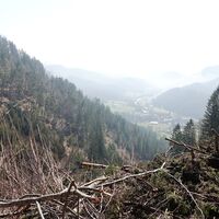 am Weg zum Schacherbauerkogel