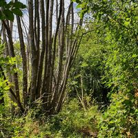 Wanderung
