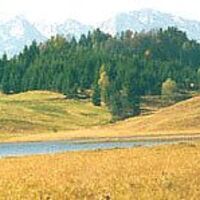 Der malerische Seewaldsee. 