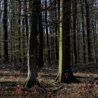 Hütteldorf - Lainzer Tiergarten - Liesing