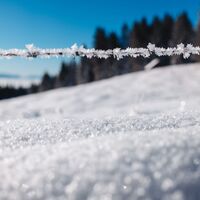 glitzernder Schnee