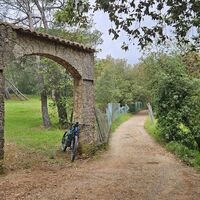 3.0 km Durchs Steintor und ...
