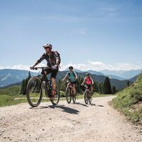 Scheffau_Mountainbike_E-Bike_Walleralm_Wilder Kaiser