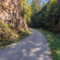 Bernau im Schwarzwald Über die Höhen entlang der Alb (4)