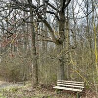 Aussicht auf Nordheim und die Rhön