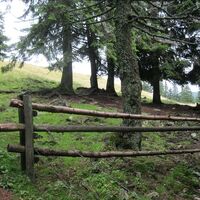 Vom Preiner Gscheid zum Semmering
