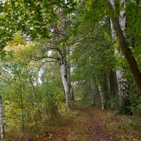 Ohrdruf Birkenweg zum Rasenteich
