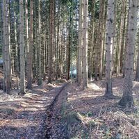 Hohlweg Richtung Paßkapelle