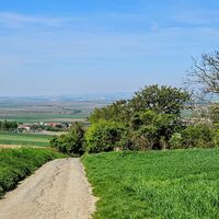 Abfahrt nach Niederhollabrunn