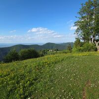 Gipfel Frankenfelsberg