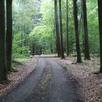 Wanderstrecke durch den Klötzer Forst auf der Wildschweinroute