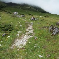 Weg weiter in Richtung Vier Hütten/Stegmoosalm