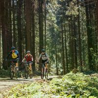 Mountainbiken in Haslach an der Mühl