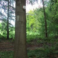 Salzgitter-Bad, Waldweg 13 und 15 hinter Lichtung