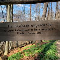 Walderlebnispfad Lärchenwald Tegernsee