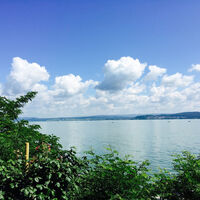 Seeblick