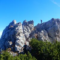 Losenheim - Nadlgrat - Kaiserstein - Klosterwappen - Schauerstein - Edelweißhütte