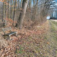Friedrichsdorf / Witterda - Bank am Katzenberg