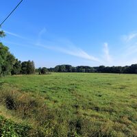 Weidelandschaft Rudisleben