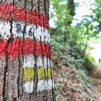Markierung am Weg zur Ringwarte Hartberg