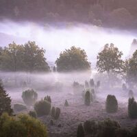 Herbstnebel im Totengrund