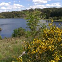 Von der Remptendorfer Bucht nach Isabellengrün