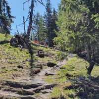 12.0 km Pfad auf den Remsteinkopf