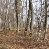 Aufstieg am Adolf-Müller-Weg