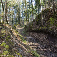 Mildersbachtalrundweg