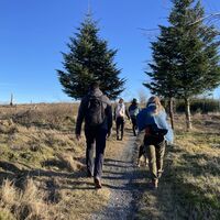 Wandergruppe auf der Sauerland-Waldroute Richtung Lörmecketurm