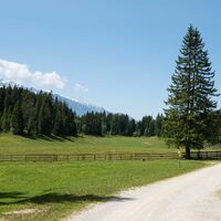 Wildmoos-Buchen-Ferienkolonie