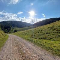 Almlandschaft im Sommer