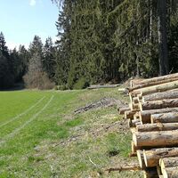 Zwischen Teichleite und Eichleite