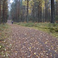 Ufer der Urzeit bei Lammassaari