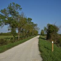 Entre vignes et marais7