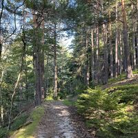 Nach der Bergwertung (aber schön schattig) gehts wieder geruhsamer weiter