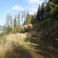 mountainbike tour steiermark